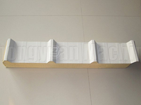 ПУ сэндвич-панель крыши